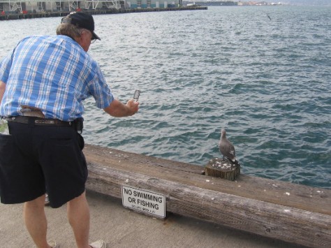 Excited tourist pauses to carefully photograph a fascinating pigeon.